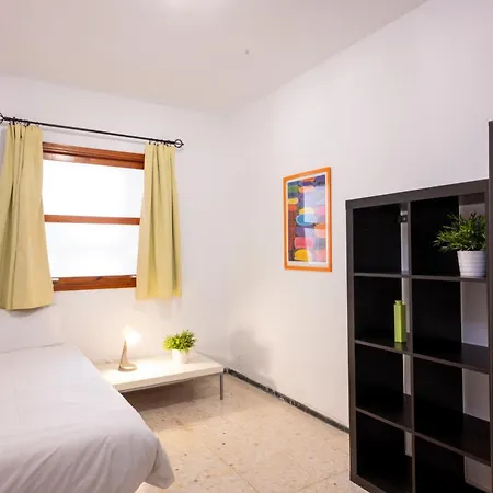 Huge In The Heart Of Santa Cruz de Tenerife
